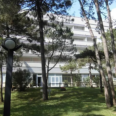 Palme Lignano Sabbiadoro