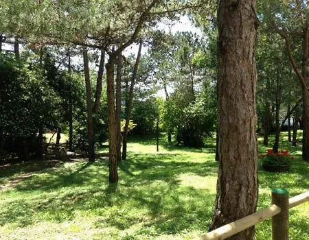 Appartamento Palme